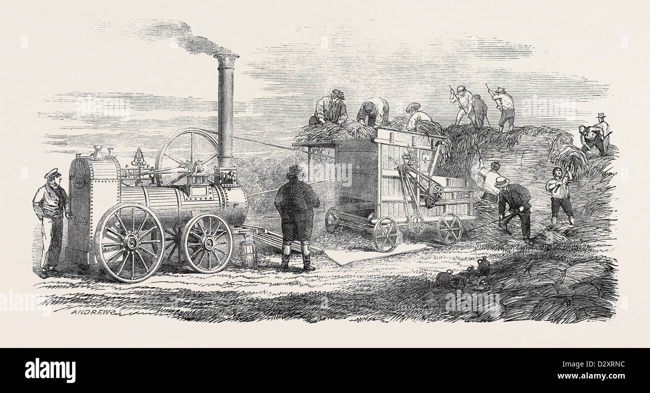HORNSBY FAHRBARE DAMPFMASCHINE UND DRESCHMASCHINE, DIE GREAT EXHIBITION Stockfoto