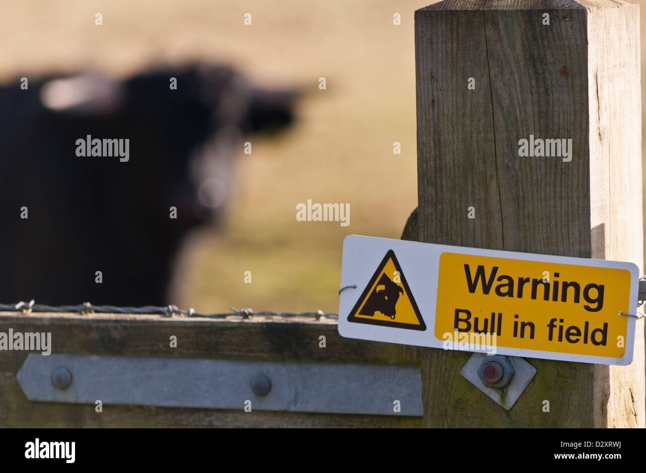 Warnung-Stier im Feld Zeichen Stockfoto