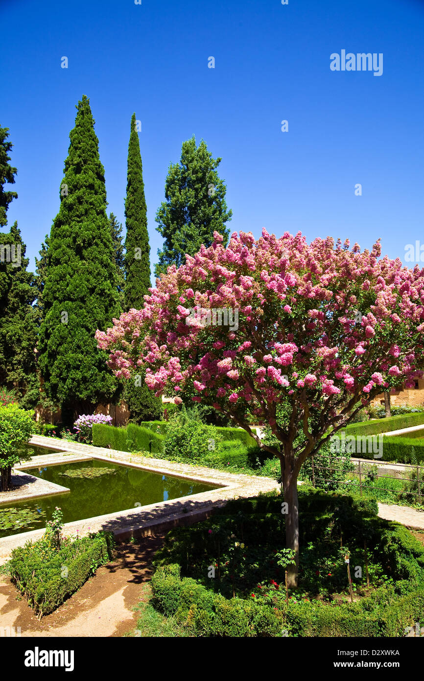 Bäumen und blühenden Büschen in den Gärten der Alhambra in Granada, Andalusien, Spanien Stockfoto