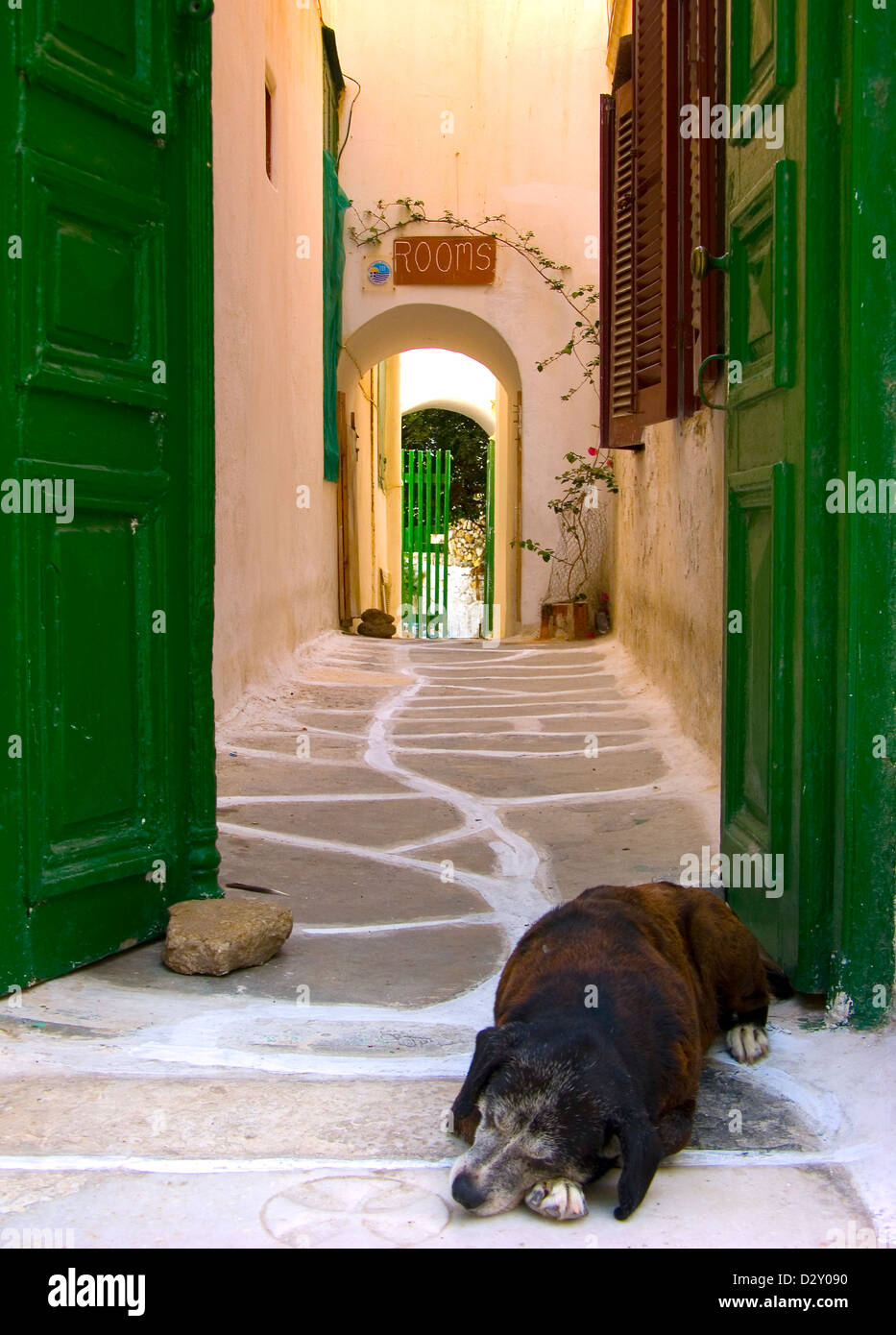 Mykonos.Greece. A schlafenden schwarz braune Hund vor grünen Türen und Eingang zum hotel Stockfoto