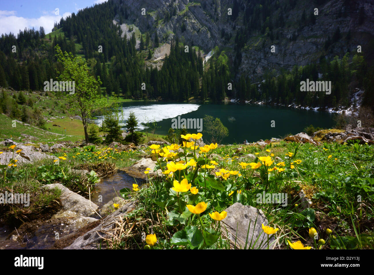 Naturstrandbad, Axalp, Berner Alpen, Schweiz Stockfoto