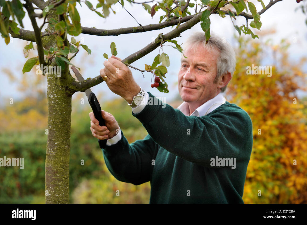 Der Gärtner Roddy Llewellyn zu Hause in der Nähe von Shipston auf Stour wo er Gartenarbeit leitet Kurse UK 2009 Stockfoto