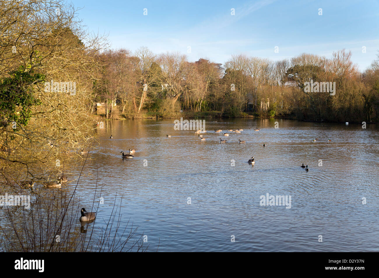 St Andrew Pool; Par; Cornwall; UK Stockfoto