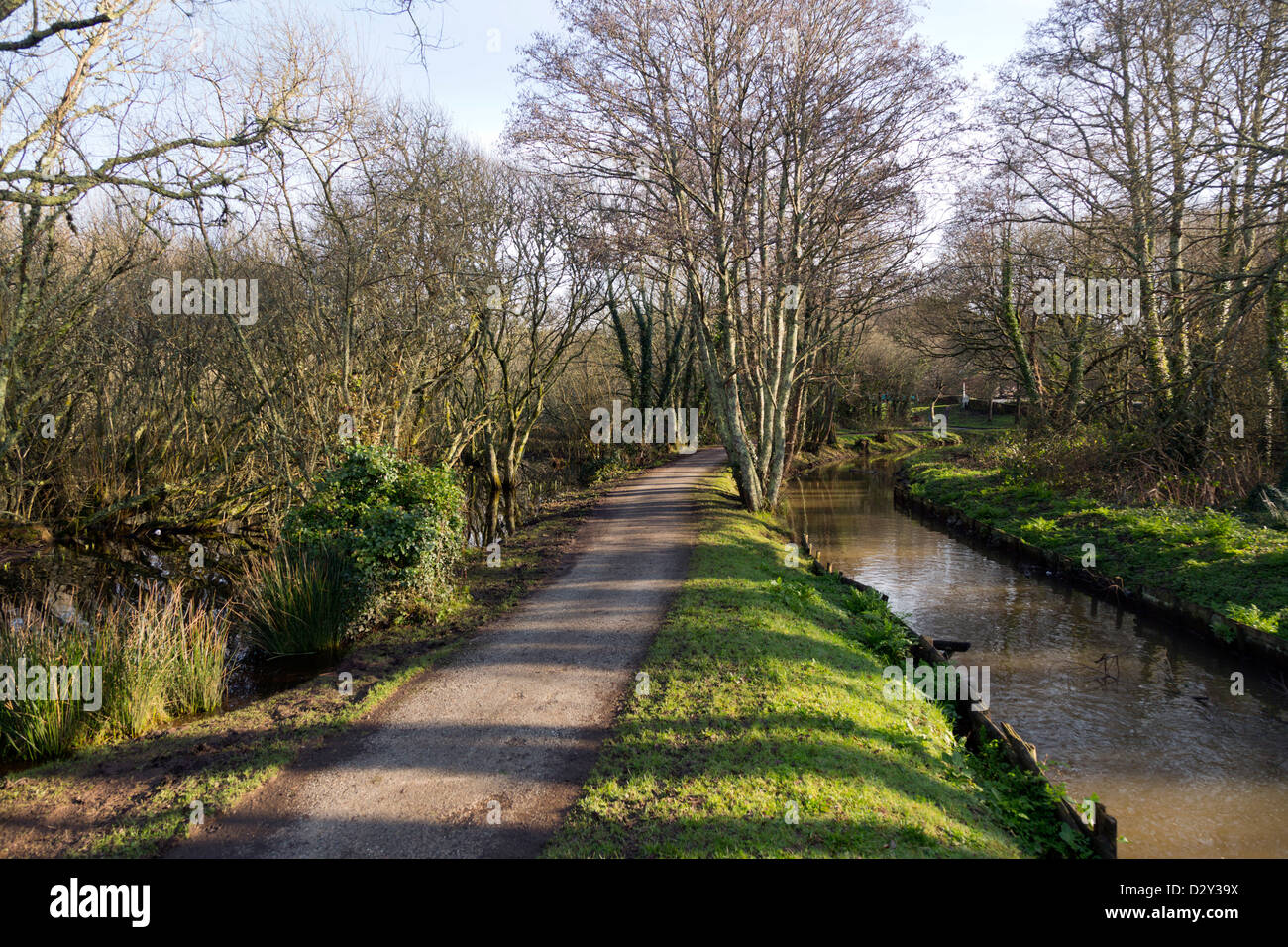 St Andrew Pool; Par; Cornwall; UK Stockfoto