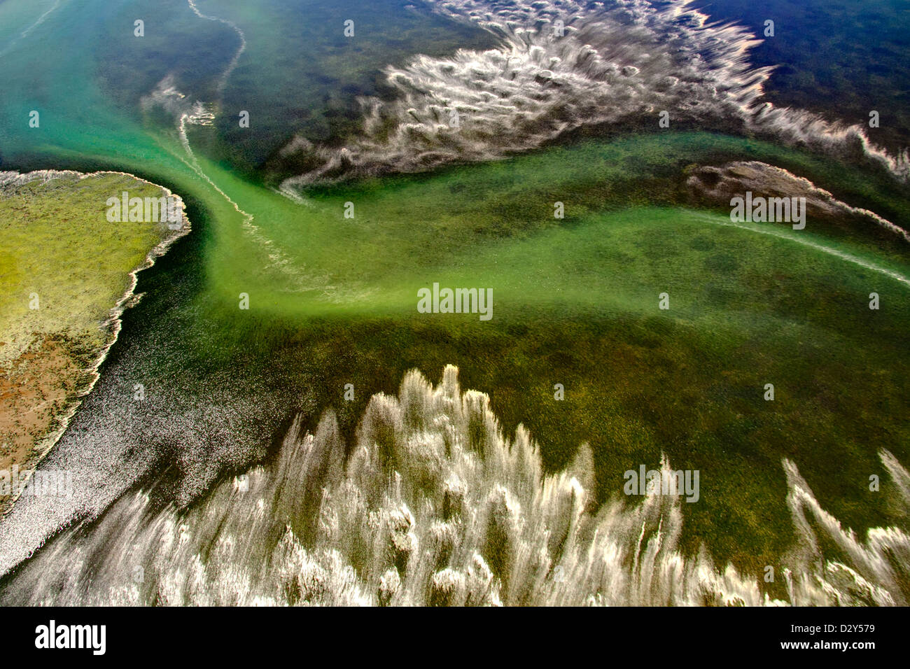 Mündung entlang Puget Sound Stockfoto
