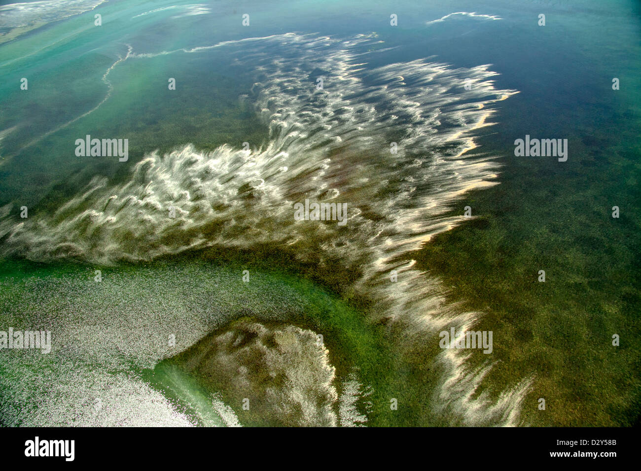 Mündung entlang Puget Sound Stockfoto