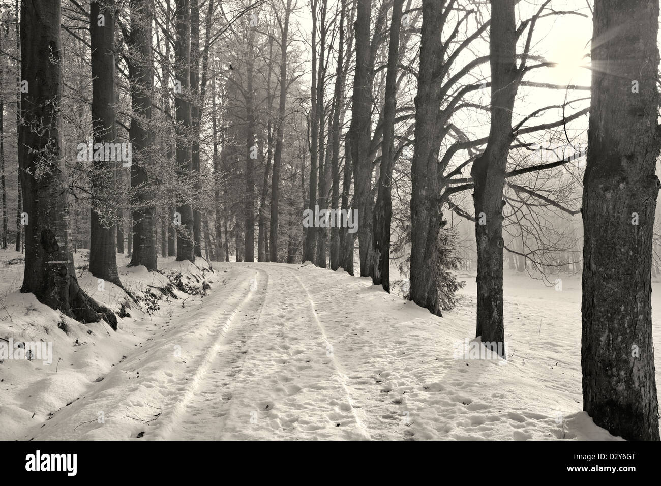 Gasse und Art und Weise Wintermorgen Stockfoto