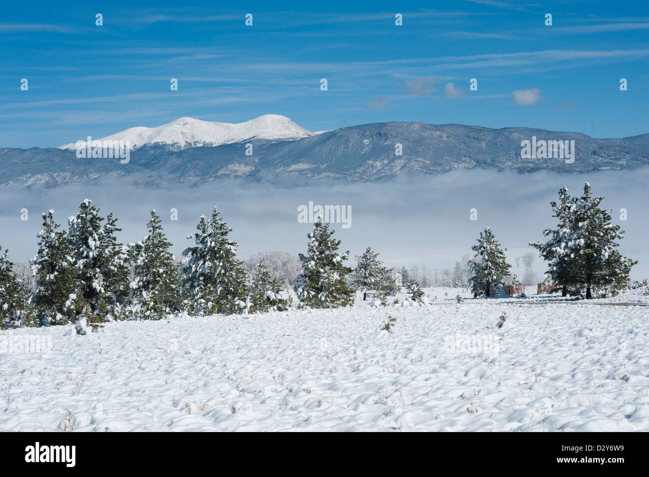 Die schneebedeckten Berge im Hintergrund sind Buffalo Gipfel, und in der Mitte Boden Nebel liegt entlang des Arkansas River. Stockfoto