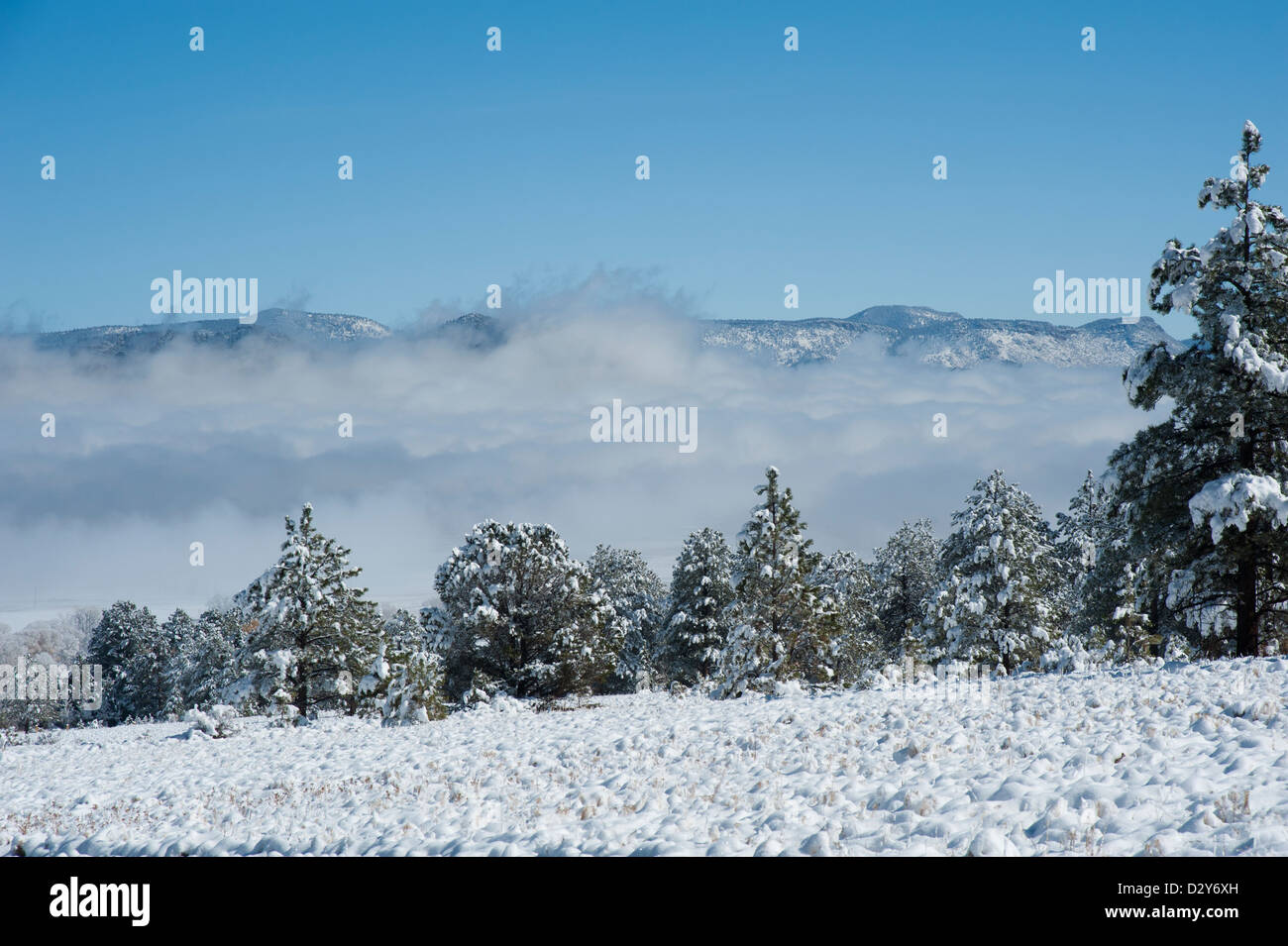 Die schneebedeckten Berge im Hintergrund sind Teil der Rocky Mountains, und Nebel liegt entlang des Arkansas River. Stockfoto