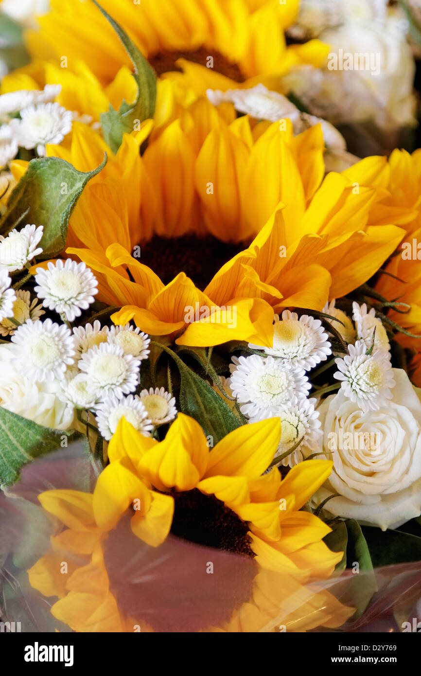 Sonnenblumen in einem Blumenstrauß Stockfoto