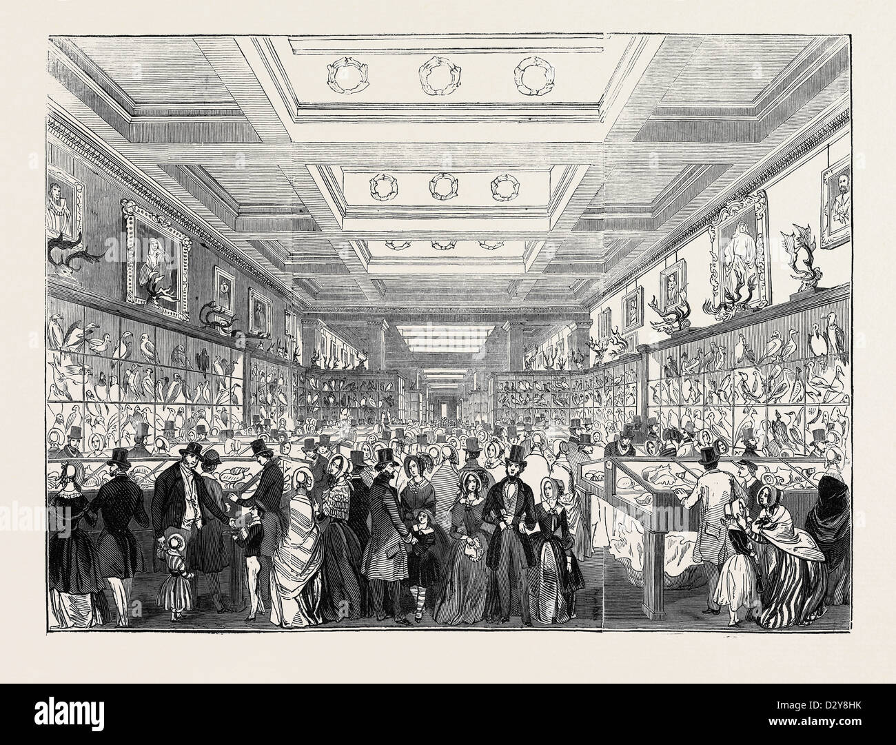 OSTERMONTAG, DEN GROßEN ZOOLOGISCHEN GALLERY, BRITISH MUSEUM Stockfoto