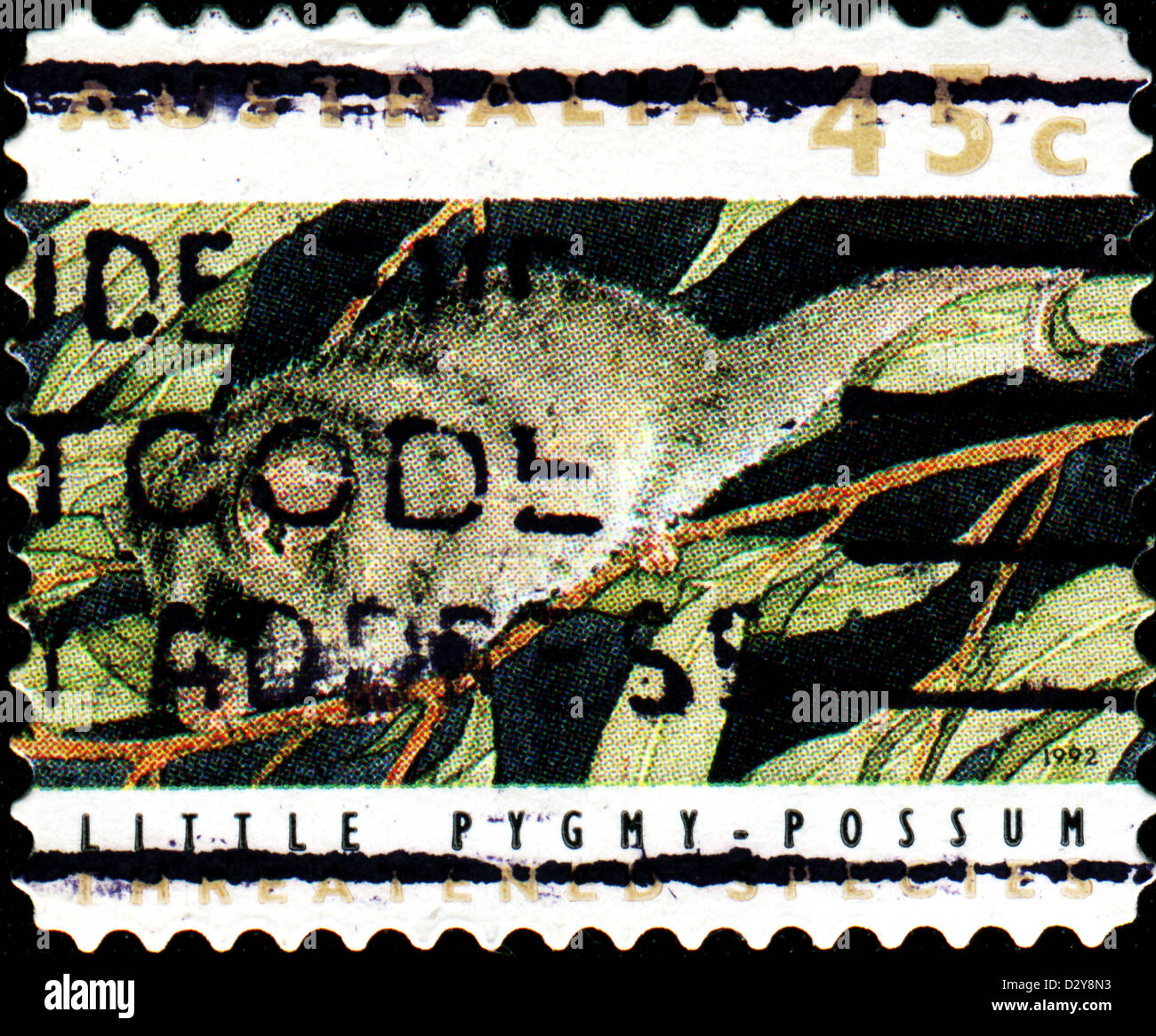 Australien - ca. 1992: Eine Briefmarke gedruckt in Australien zeigt wenig Pygmy Opossum, gefährdeter Arten-Serie, ca. 1992 Stockfoto