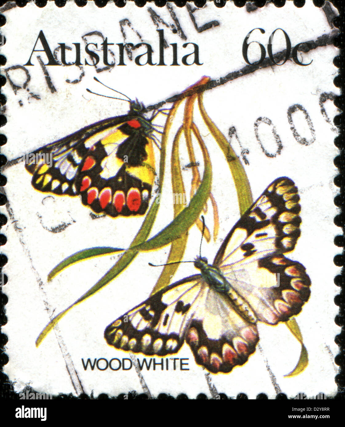 Australien - ca. 1981: Eine Briefmarke gedruckt in Australien zeigt einen Holz weißen Schmetterling, ca. 1981 Stockfoto