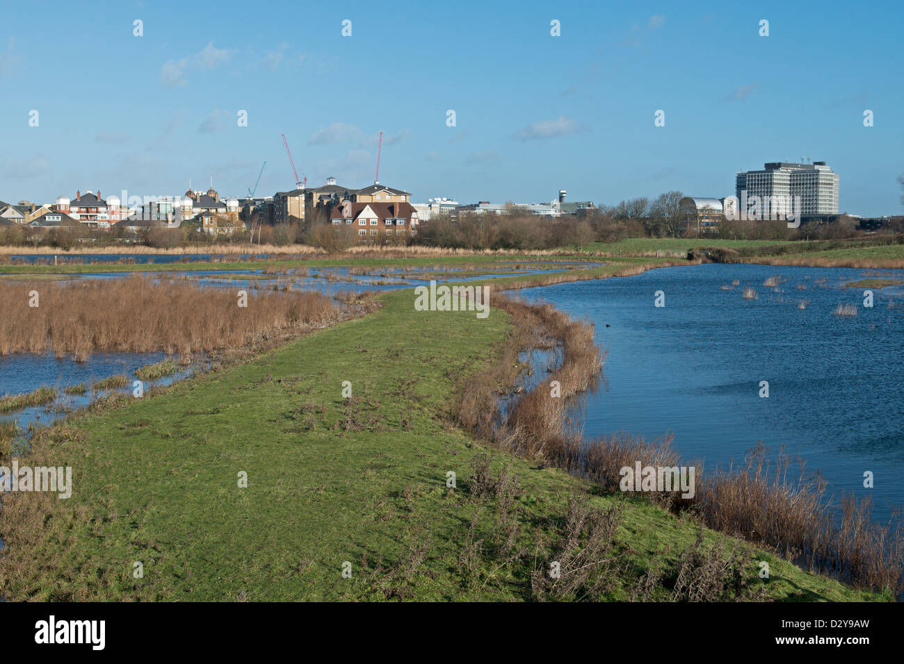 Wetland Centre, Barnes, London, England Stockfoto