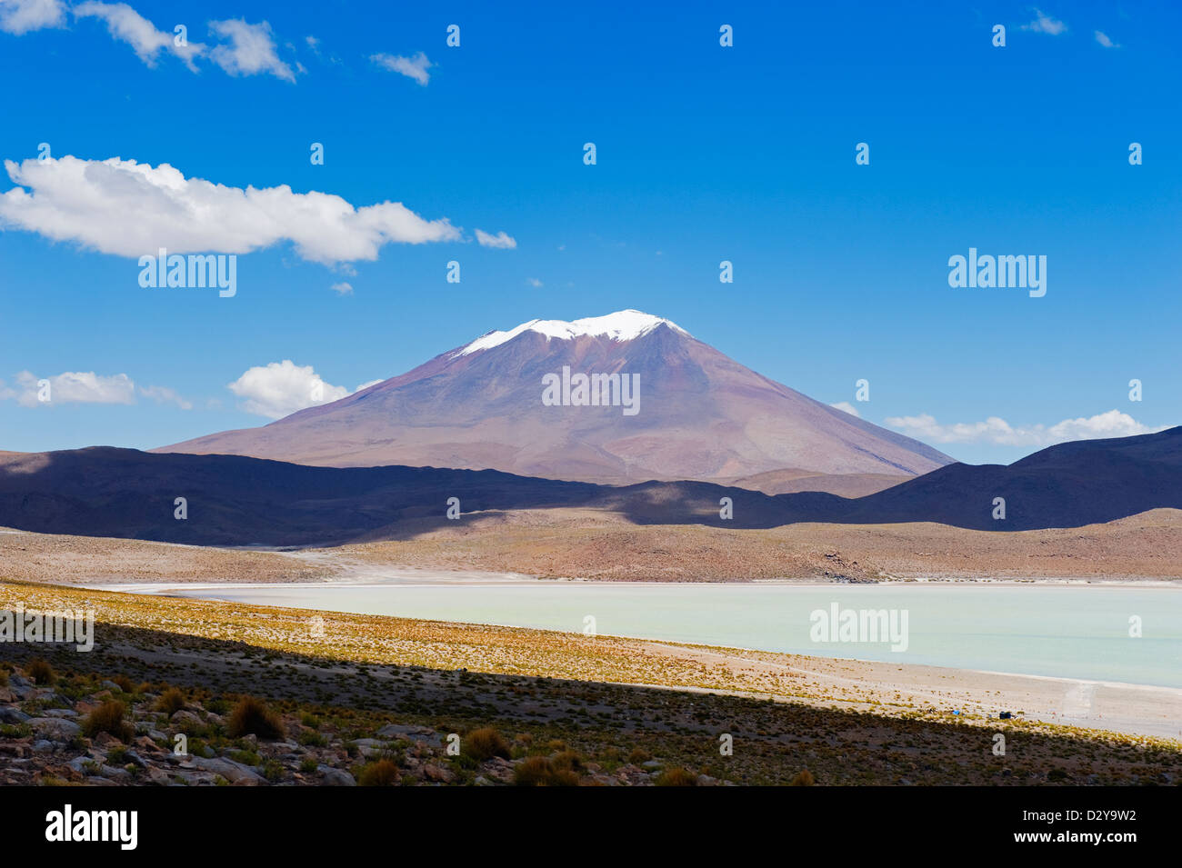 Licancabur Berg, Laguna Hedionda, Bolivien, Südamerika Stockfoto