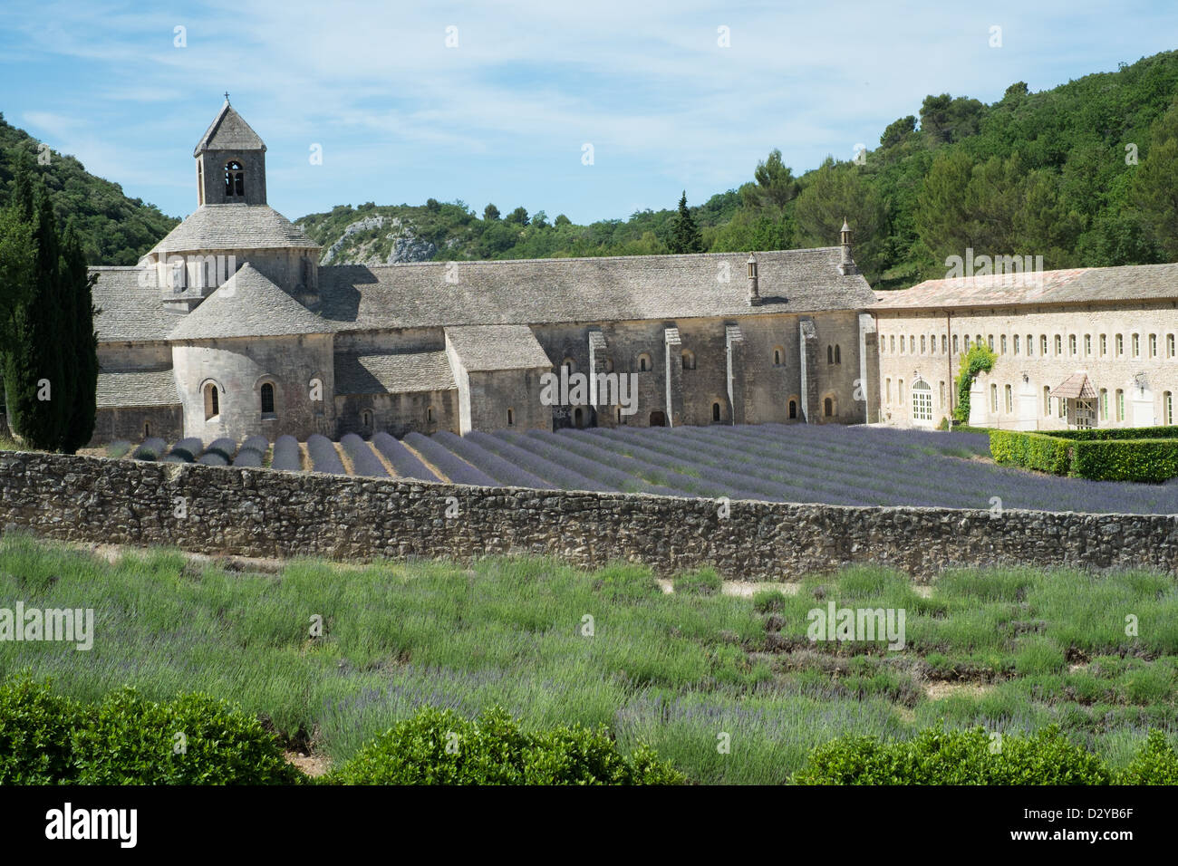 Abbaye de Sénanque in der Nähe von Gordes, Vaucluse, Frankreich Stockfoto