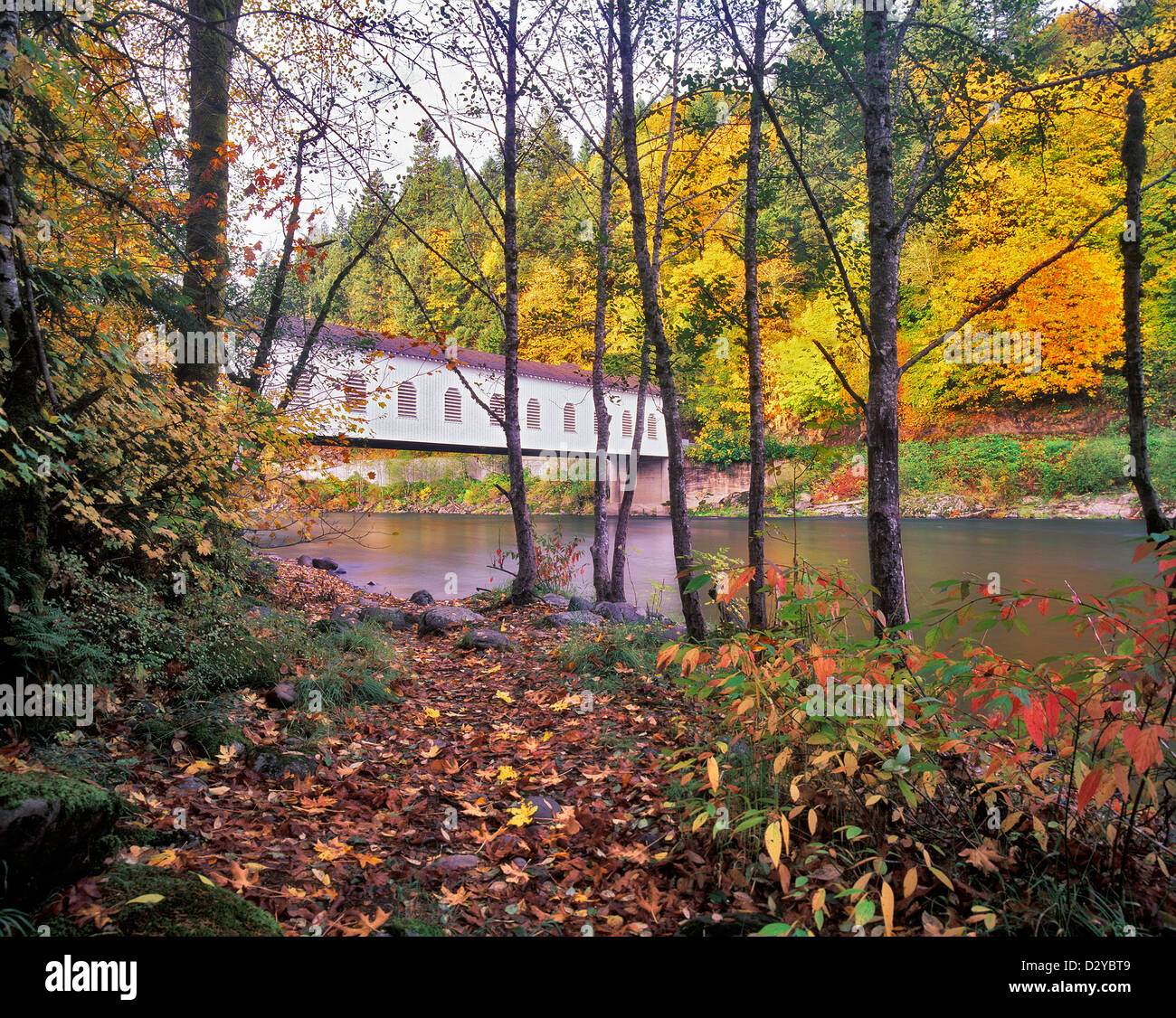 Goodpasture-Brücke und McKenzie River mit Herbstfarben. Oregon. Stockfoto