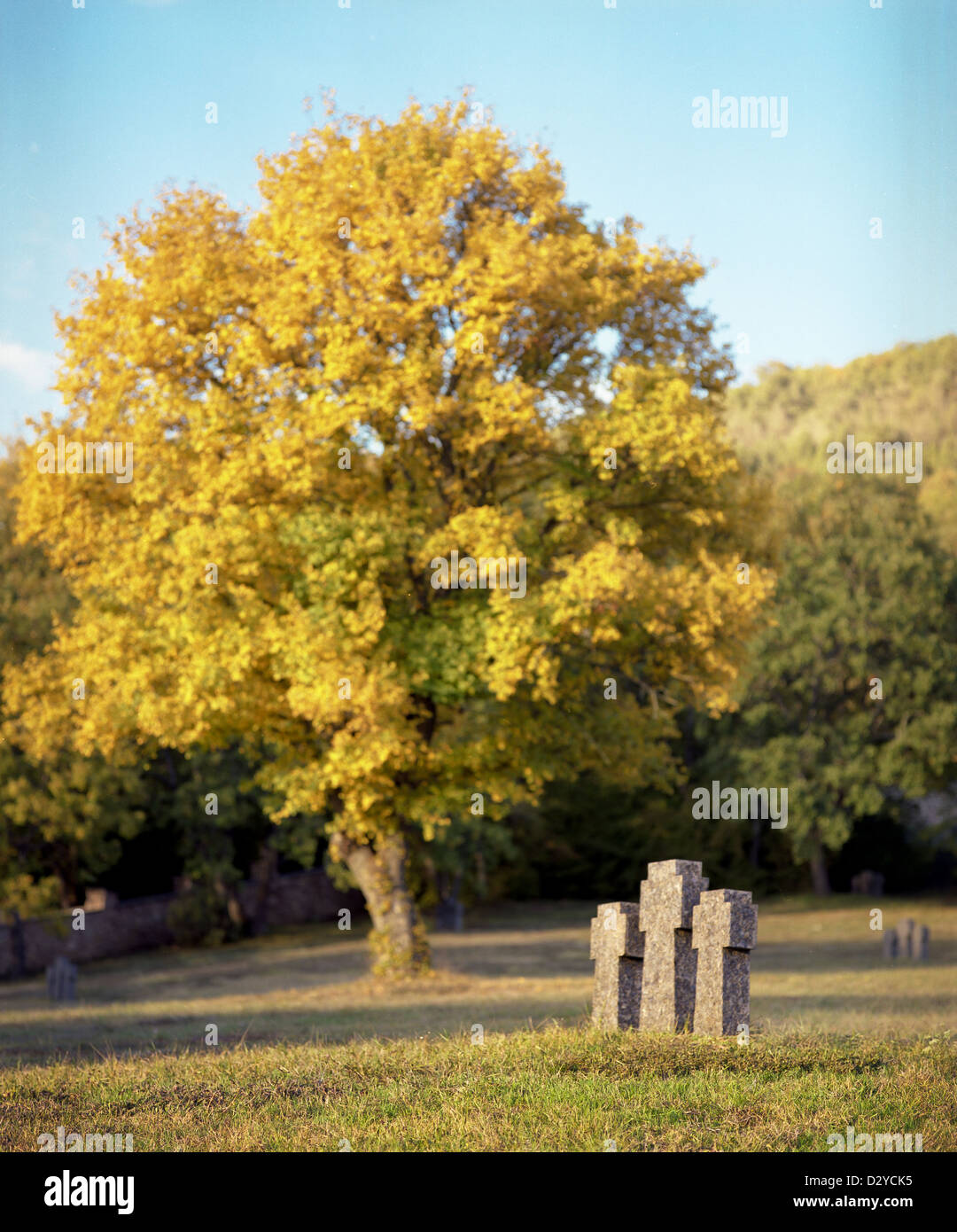 Denkmal-Kreuze Stockfoto