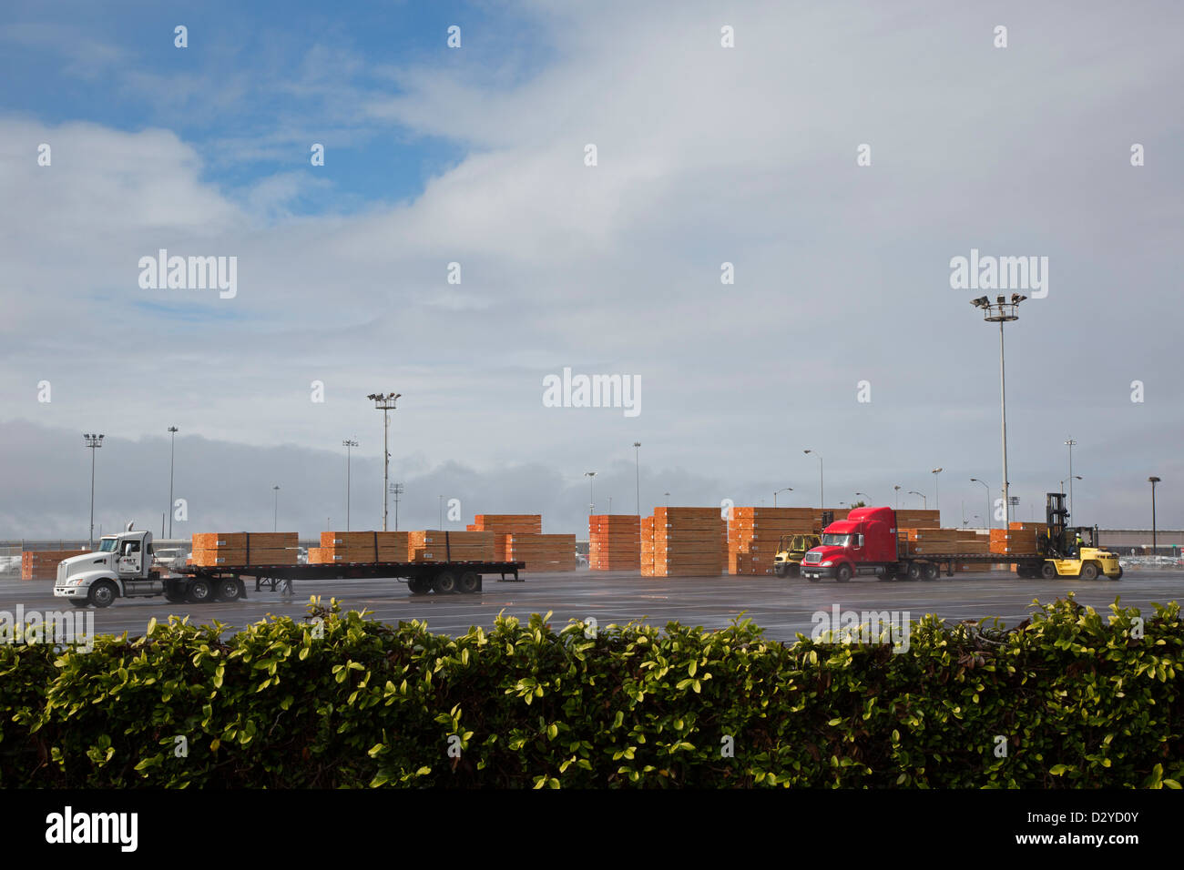 National City, Kalifornien - importierte Holz erwartet Verteilung am Hafen von San Diego. Stockfoto
