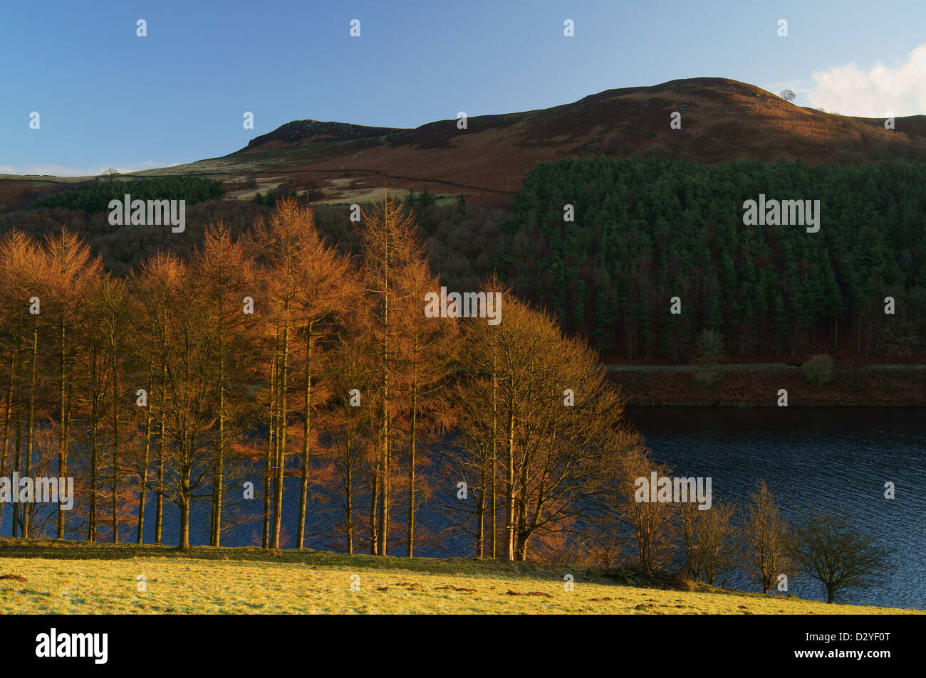Großbritannien, Peak District, Derbyshire, Ladybower Reservoir & Whinstone Lee Tor Stockfoto