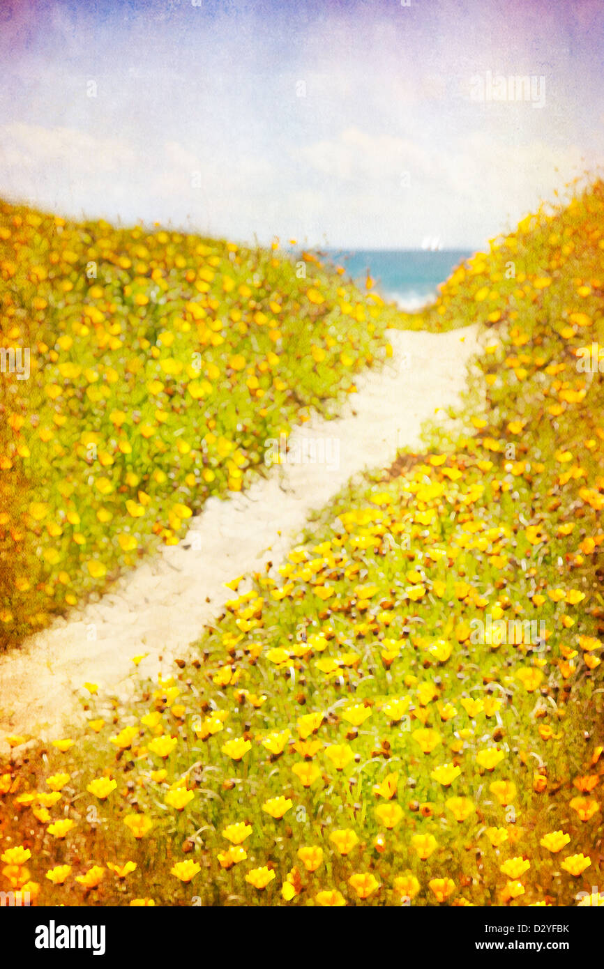 Ein Blick auf eine Spur in den Sanddünen bis zum Meer führt. Entfernten Segel am Horizont. Te Arai Punkt, Nordinsel, Neuseeland Stockfoto