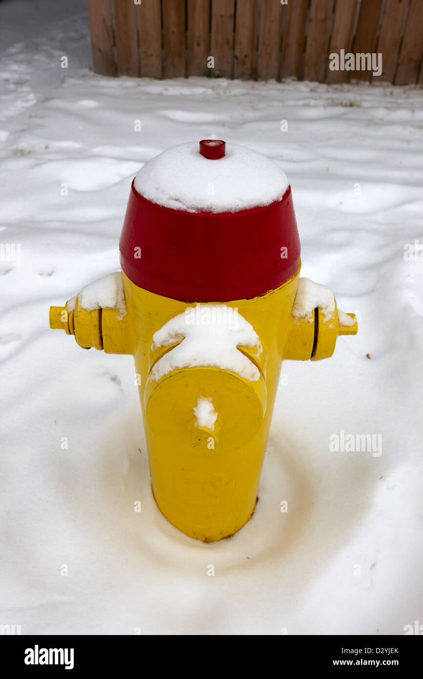 gelbe Hydranten im Schnee an der Seite der Straße Saskatoon Saskatchewan Kanada Stockfoto