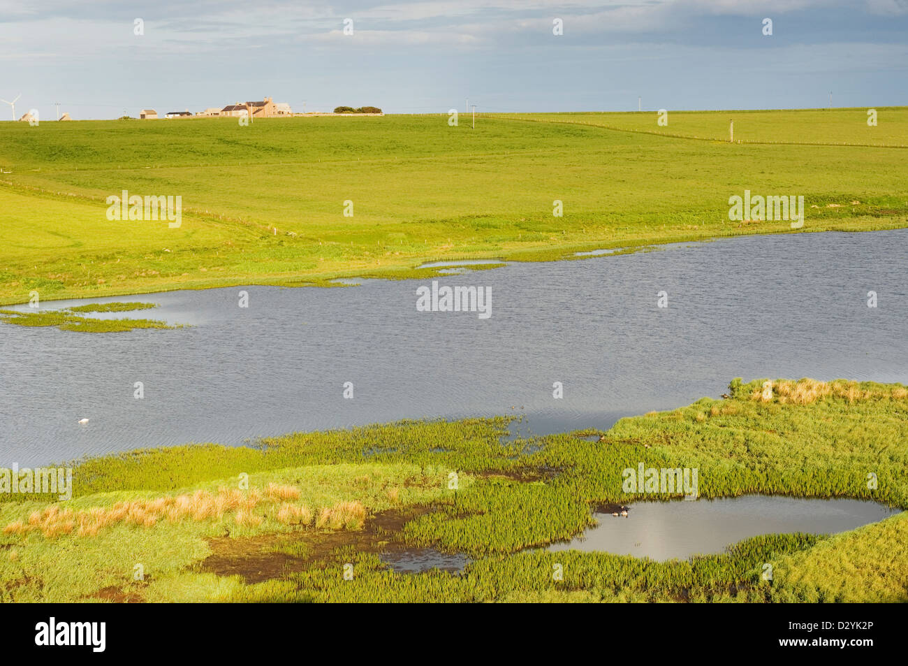 Mill Dam RSPB Reserve auf der Insel Shapinsay, Orkney Inseln, Schottland. Stockfoto