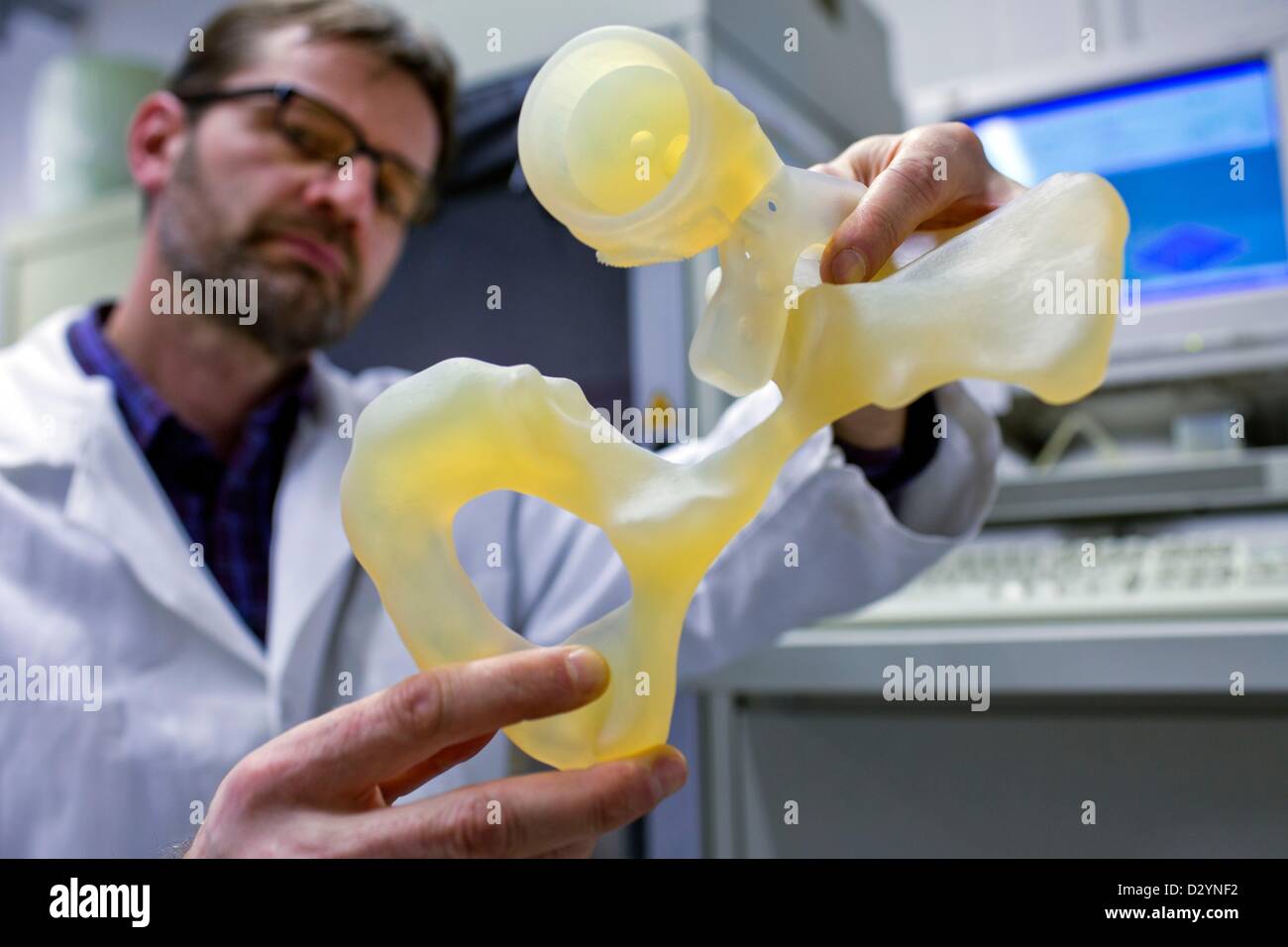 Ingenieur Volker Weissmann hält den Prototyp für ein künstliches Hüftgelenk in seinen Händen im Forschungslabor des Instituts für Polymertechnology (Ipt) in Wismar, Deutschland, 25. Januar 2013. Wissenschaftler arbeiten seit Ende 2012 auf ein 18-Monate-Forschungsprojekt, künstliche Knochen mit lebensechten Strukturen und eine längere Haltbarkeit zu entwickeln. Foto: Jens Büttner Stockfoto