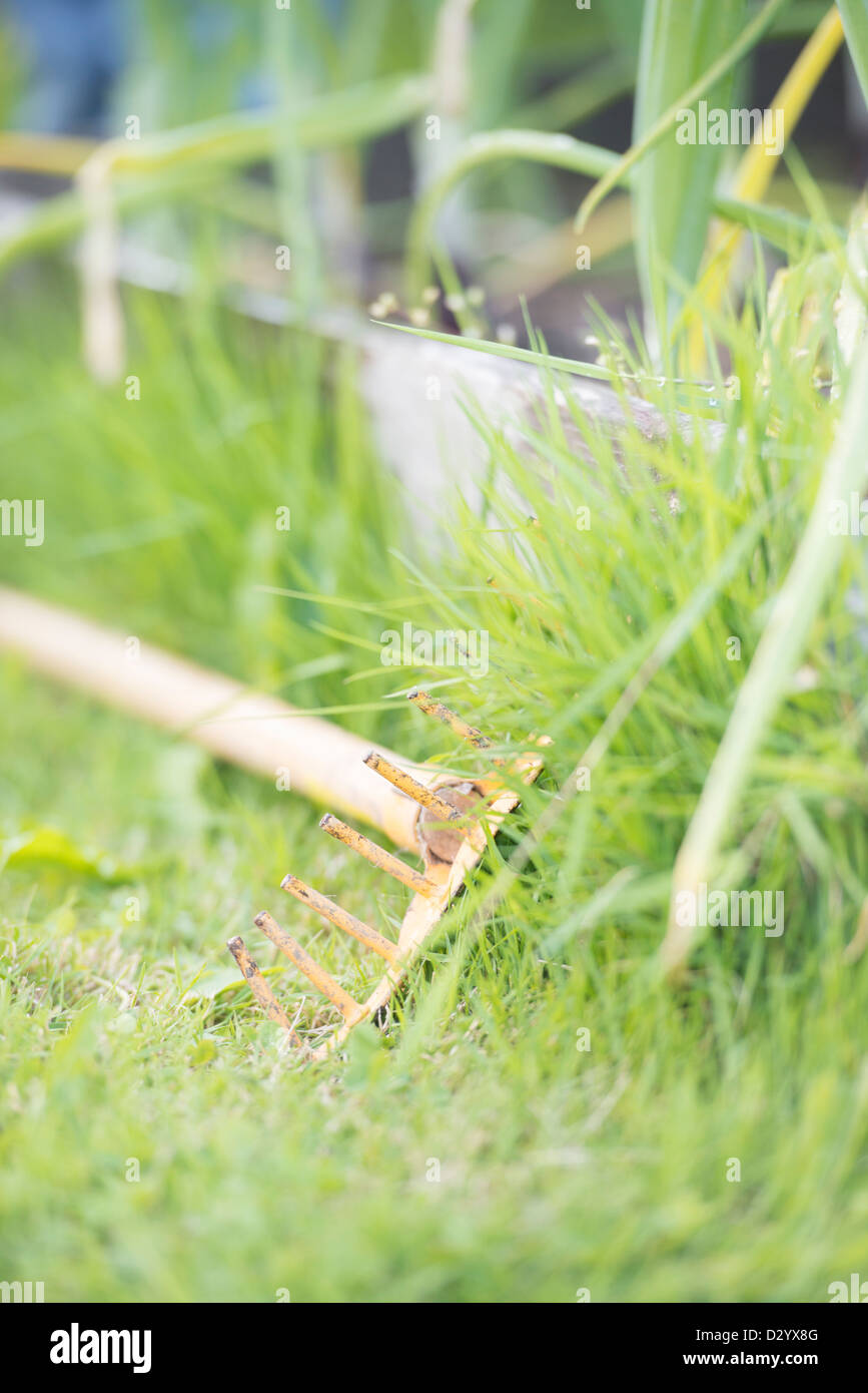 Closeup Gartenarbeitwerkzeug und Gras im Sommer Stockfoto