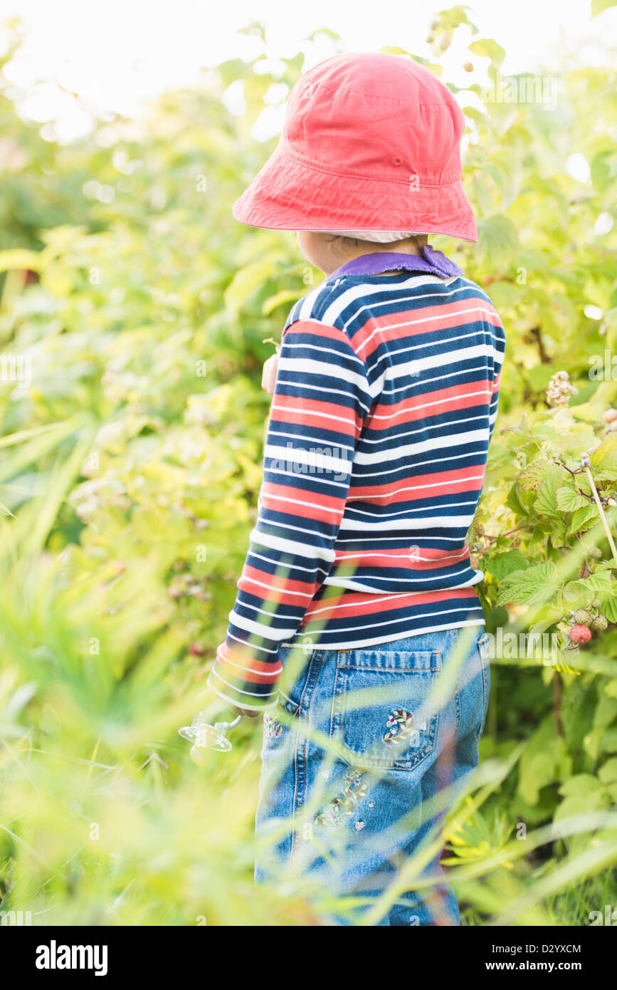 Kleines Kind 3 Jahre alt, in einem Garten spielen und erkunden die Pflanzen, Schweden. Stockfoto