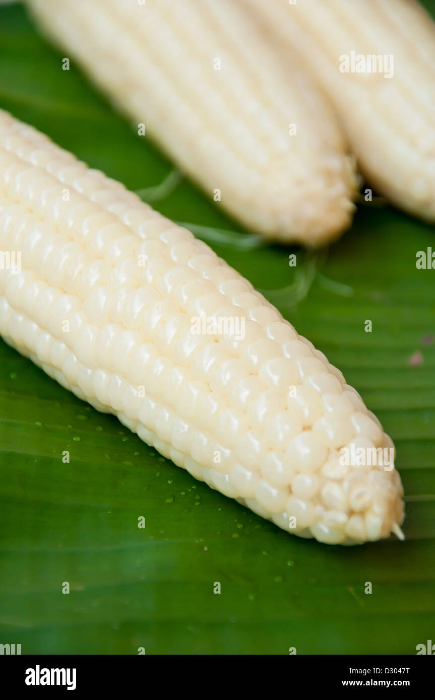 gekochten Mais auf Bananenblatt Stockfoto