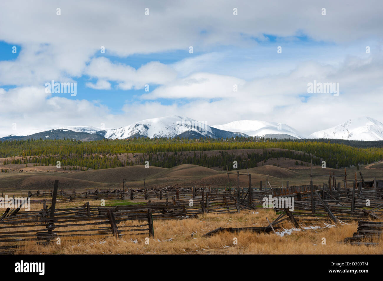 Die Hayden-Ranch südlich von Leadville, Colorado gegründet 1859, produziert vor allem Heu für Pferde und Maultiere. Stockfoto