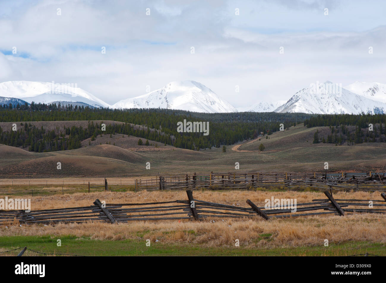Die Hayden-Ranch südlich von Leadville, Colorado gegründet 1859, produziert vor allem Heu für Pferde und Maultiere. Stockfoto