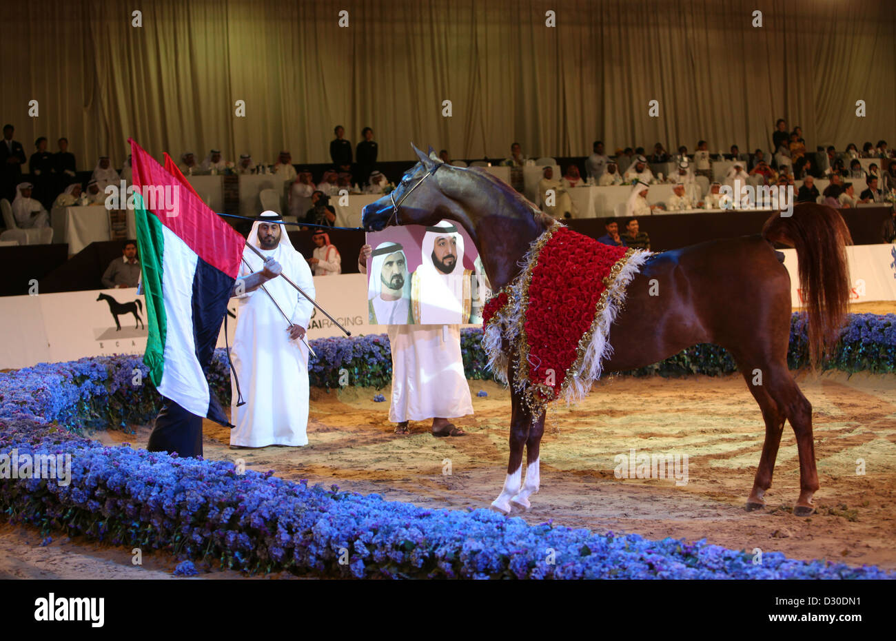 Arabischer fuchs Fotos und Bildmaterial in hoher Auflösung Alamy