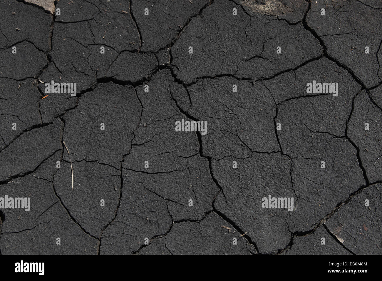 Grossraeschen, Deutschland, Risse im ausgetrockneten Erde Stockfoto