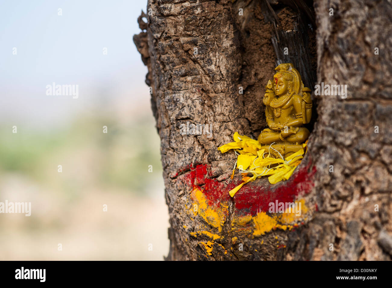 Lord Shiva Statue und Blume Blütenblätter in einen hohlen Baum. Indien Stockfoto