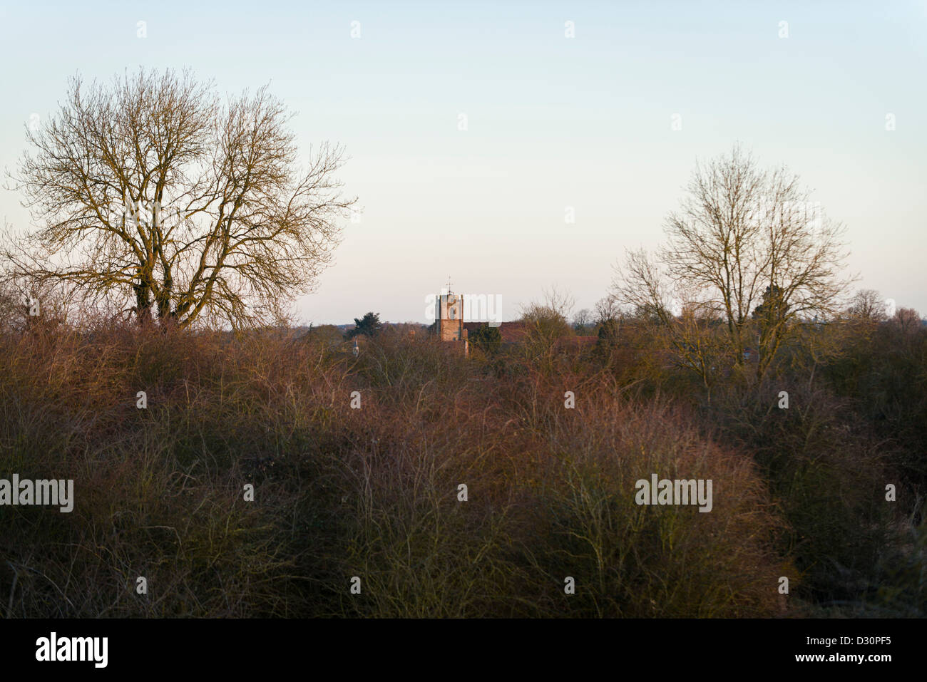 Lange Itchington Kirchturm über Bäume, lange Itchington, Warwickshire, England, UK Stockfoto