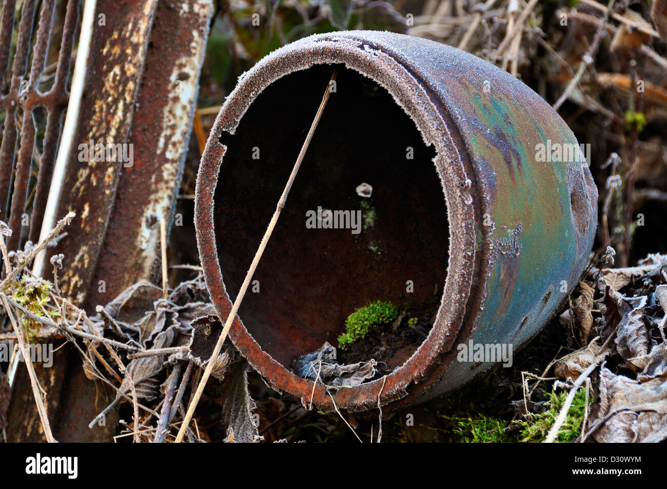 Scheinwerfergehäuse auf ein altes verlassenes Auto in der Nähe von Olympia, Washington. Stockfoto