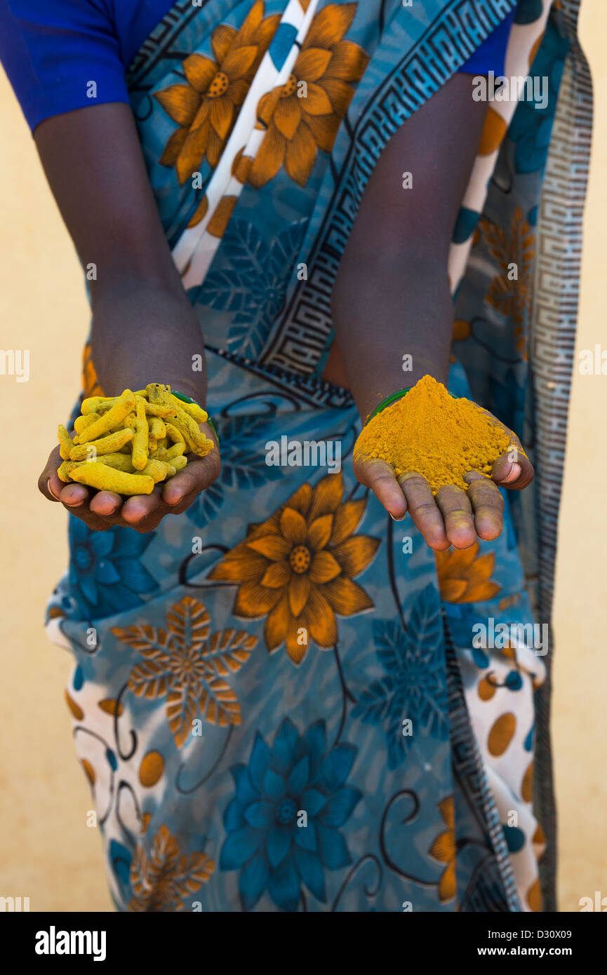 Indische Dorf Frau getrocknet Kurkuma Wurzeln / Rhizome und Kurkuma Pulver in ihren Händen halten. Andhra Pradesh, Indien Stockfoto