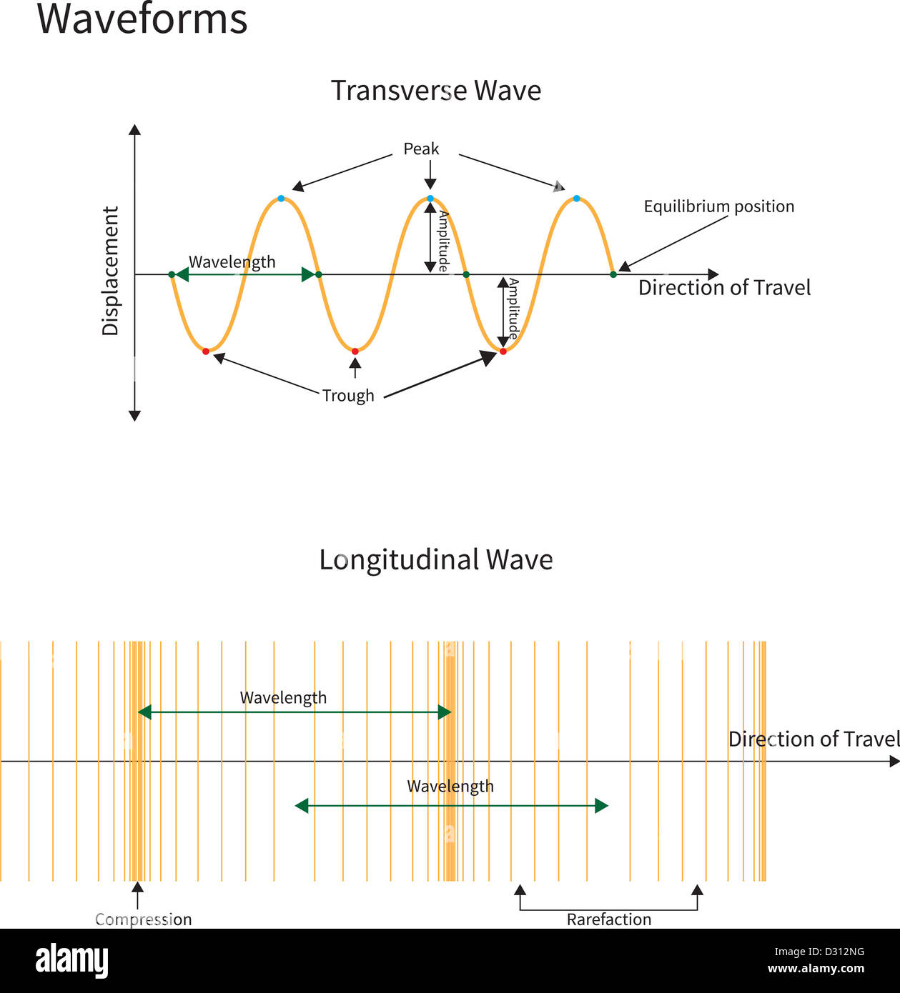 Das Diagramm zeigt transversale und longitudinale Wellenformen. Stockfoto