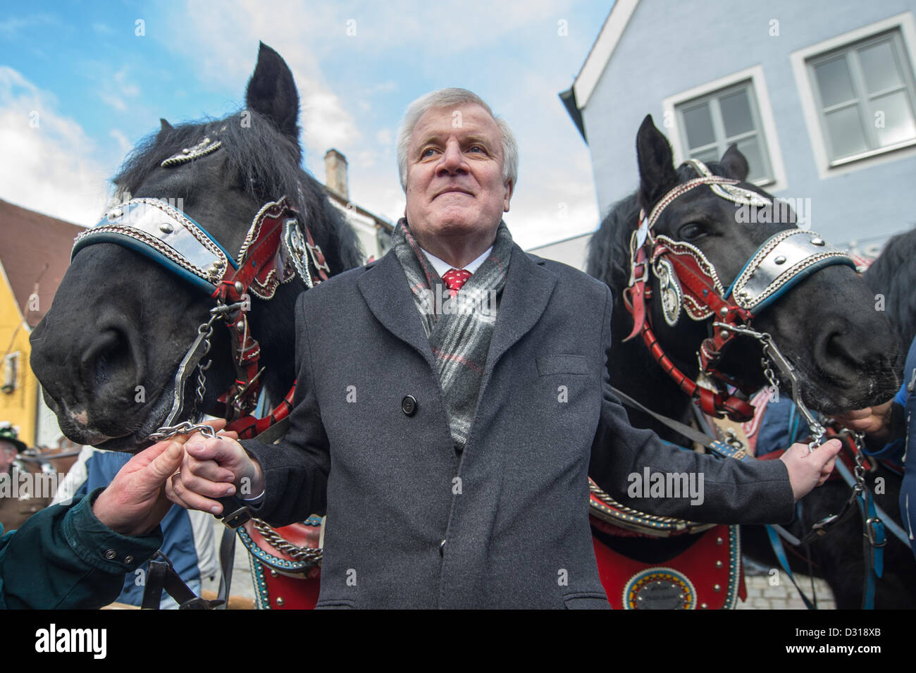 Berching, Deutschland. 6. Februar 2013. Premier von Bayern Horst Seehofer stellt mit zwei Pferden auf dem Pferdemarkt (Rossmarkt) in Berching, Deutschland, 6. Februar 2013. Der Rossmarkt ist das größte bayerische Volksfest im Winter. Einige der Pferdebesitzer kommen seit Jahrzehnten zur Messe. Foto: ARMIN WEIGEL/Dpa/Alamy Live-Nachrichten Stockfoto