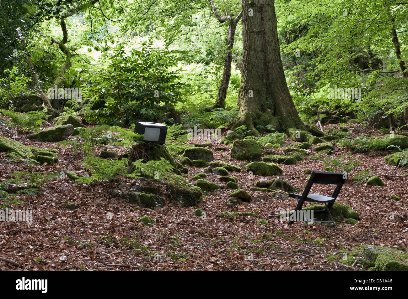 Ein Sitzraum im Freien (komplett mit TV) im Veddw House Garden, Devauden, Wales, Großbritannien. Ein moderner romantischer Garten von Anne Wareham und Charles Hawes Stockfoto
