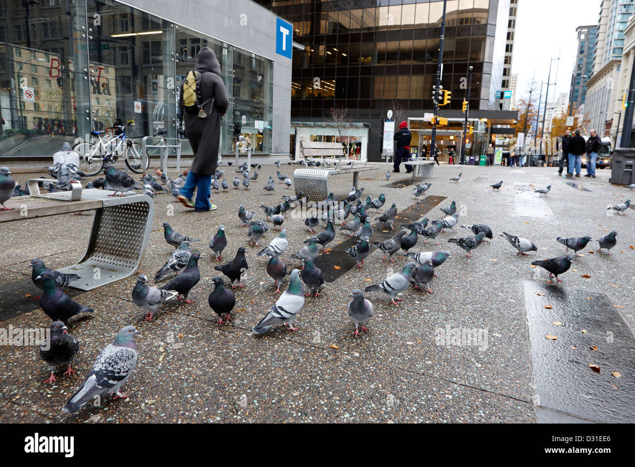 Schwärme von Tauben auf der Straße vor Vancouver City centre Station Granville street BC Kanada Stockfoto