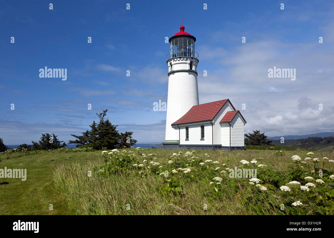 OR00939-00... OREGON - Cape Blanco Light auf einer Klippe über dem Pazifischen Ozean im Cape Blanco State Park. Stockfoto