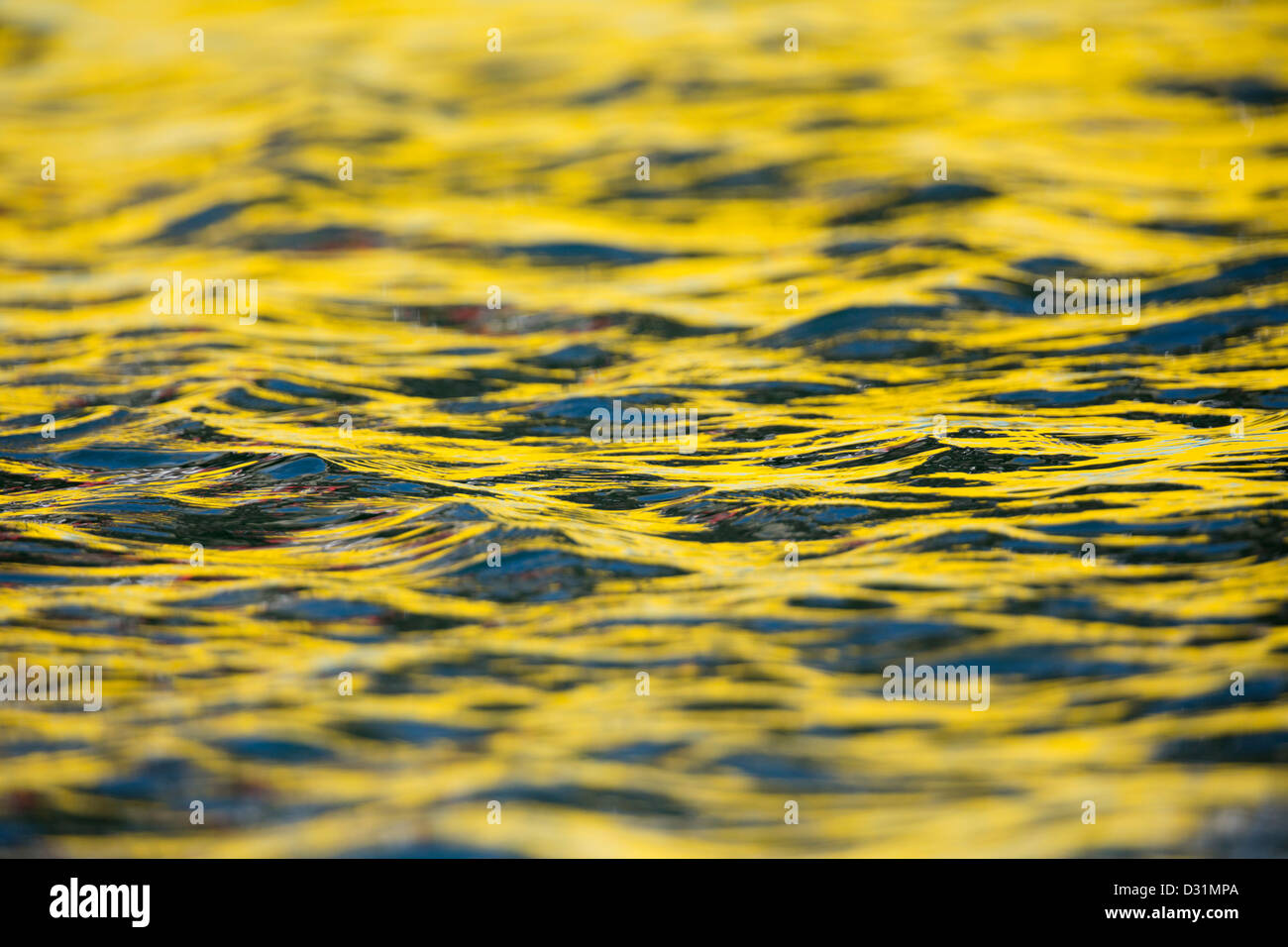 Gelben Muster auf dem Meer; Newlyn; Cornwall; Farbe Reflexion von Boot; Stockfoto