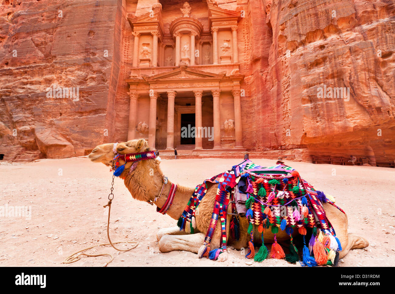 Beduinen Kamel liegt in der Nähe der Schatzkammer, die Al Khazneh in den Felsen in Petra, Jordanien geschnitzt Stockfoto