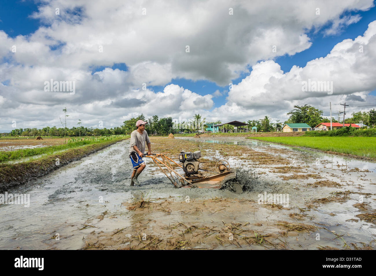 Mann, die Vorbereitung der Flächen zu kultivieren Reis, Panay Island, Philippinen, Asien Stockfoto