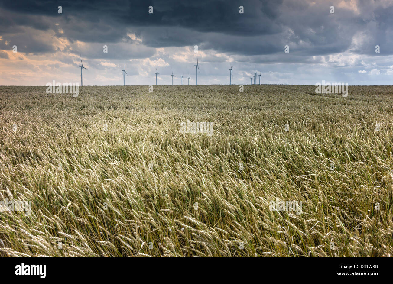 Windkraftanlagen in einem Feld von Weizen in der Nähe der Stadt Beverley in East Riding von Yorkshire, Großbritannien. Ein Sturm braut sich. Stockfoto