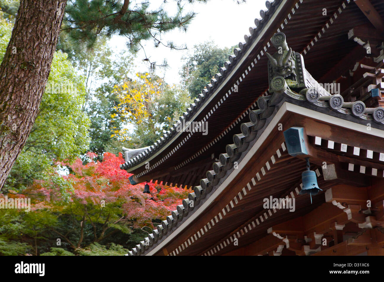 Chionin-Tempel, Kyoto, Japan Stockfoto