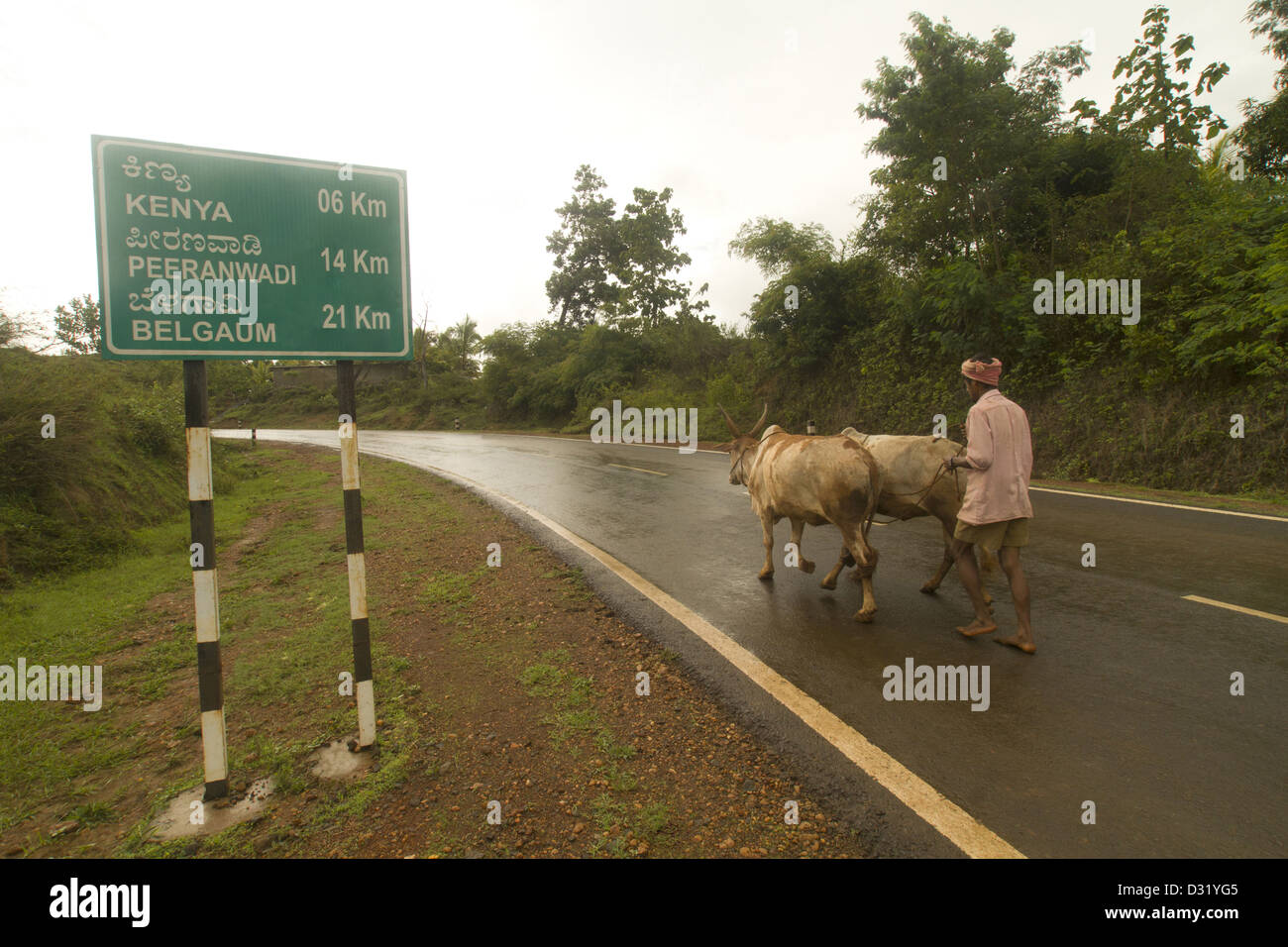 Straße nach Belgaum über Khanapur karnataka Stockfoto